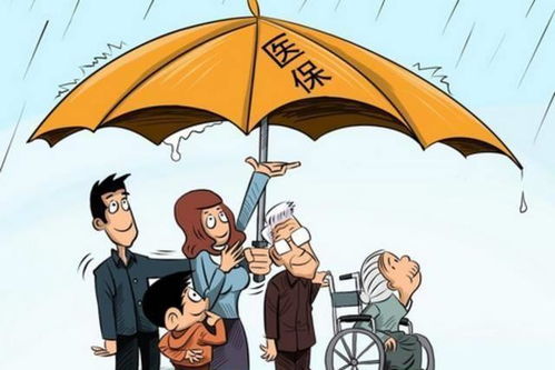 社保繳滿十五年中斷，退休前還需補繳嗎？權威解答來了