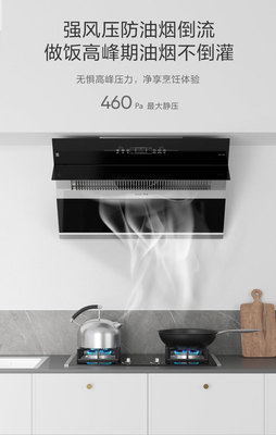 SAKURA櫻花吸油煙機SCR-J301A 品質(zhì)與價格的全面解析